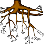 Tree Roots Clip Art