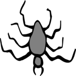 Spider 12