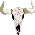 Steer Skull 10