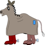 Costume - Horse 2