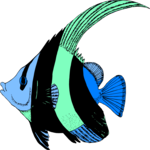 Angel Fish 19