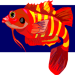 Fish 104 Clip Art