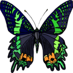 Butterfly 117 Clip Art