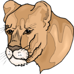 Lioness 5 Clip Art