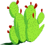 Cactus - Prickly Pear Clip Art