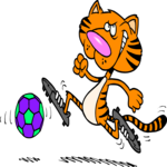 Soccer - Tiger
