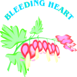 Bleeding Heart Clip Art