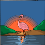 Flamingo 13