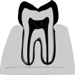 Tooth 03 Clip Art