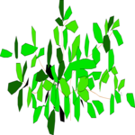 Plant 014 Clip Art