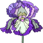 Flower 396 Clip Art