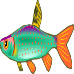 Fish 237
