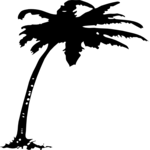 Palm Tree 10