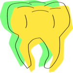 Tooth 23 Clip Art