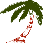 Palm Tree 16