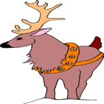 Reindeer 30