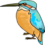 Kingfisher 04 Clip Art