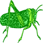 Grasshopper 14 Clip Art