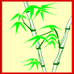 Bamboo 6