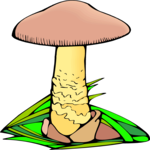 Mushroom 15 Clip Art