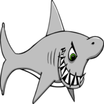 Shark 06