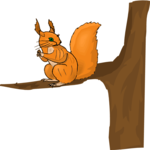 Squirrel 13