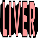 Liver - Title