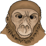 Monkey 13 Clip Art