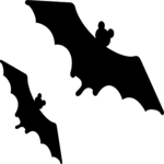 Bats