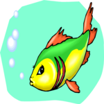 Fish 176