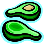 Avocado 04