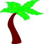 Palm Tree 07