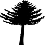 Tree 011 Clip Art