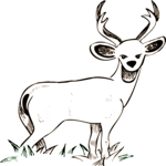 Deer 35 Clip Art