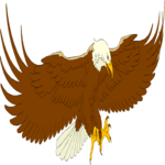 Eagle 43 Clip Art