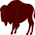 Buffalo 1