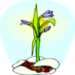 Flower 355 Clip Art