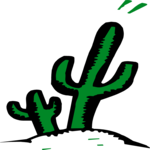 Cactus 19
