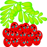 Berries Smiling Clip Art