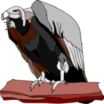 Vulture 6 Clip Art