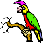 Parrot 24 Clip Art