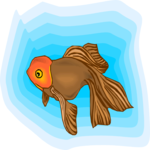 Goldfish 06 Clip Art