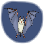 Bat 19