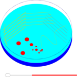 Biology - Petri Dish Clip Art