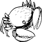 Crab 14