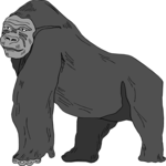 Gorilla 1 Clip Art