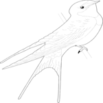 Sparrow 04 Clip Art