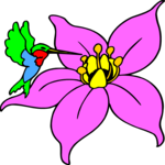 Flower with Hummingbird Clip Art