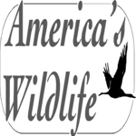 America's Wildlife Title
