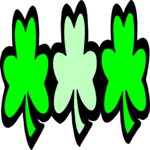 Shamrocks 3